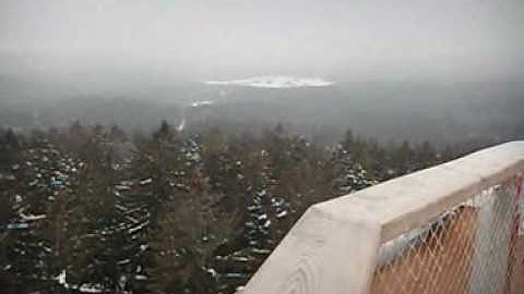 Lithuanian tutorial - Trip home, random words