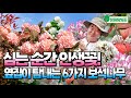 심는 순간 인생꽃! 옆집이 탐내는 6가지 정원 보석꽃나무. 가을정원 핑크오데마리, 분꽃, 설구화로 풍성하게 가꾸어보세요. Mp3 Song