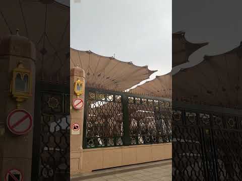 أمطار غزيرة في المسجد النبوي المدينة المنورة #shortvideo