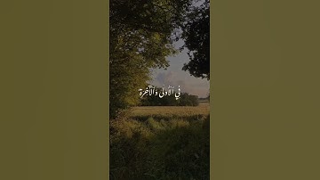 وَرَبُّكَ يَعۡلَمُ مَا تُكِنُّ صُدُورُهُمۡ وَمَا يُعۡلِنُونَ||سورة القصص#أحمد_نعينع