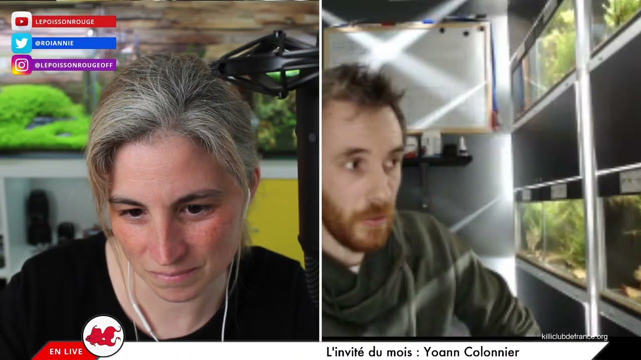 [REPLAY] Les killies avec Yoann Colonnier du Killi Club de France