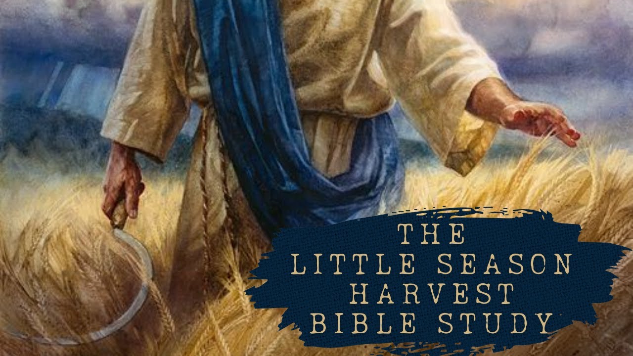 The Little Season Harvest ~ Bible Study with @BiblicallyBased101 and ...