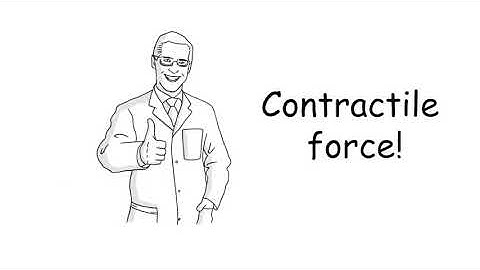 FLEXcyte 96 Contractile Force Analysis