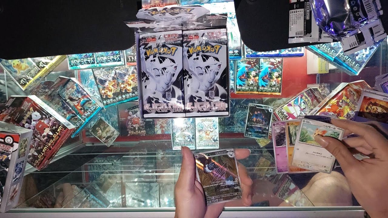 OUVERTURE DISPLAY POKÉMON BLACK & WHITE SV11 White - Poké Sensei Nouméa