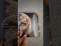 Moonfall bluray 4k unboxing.