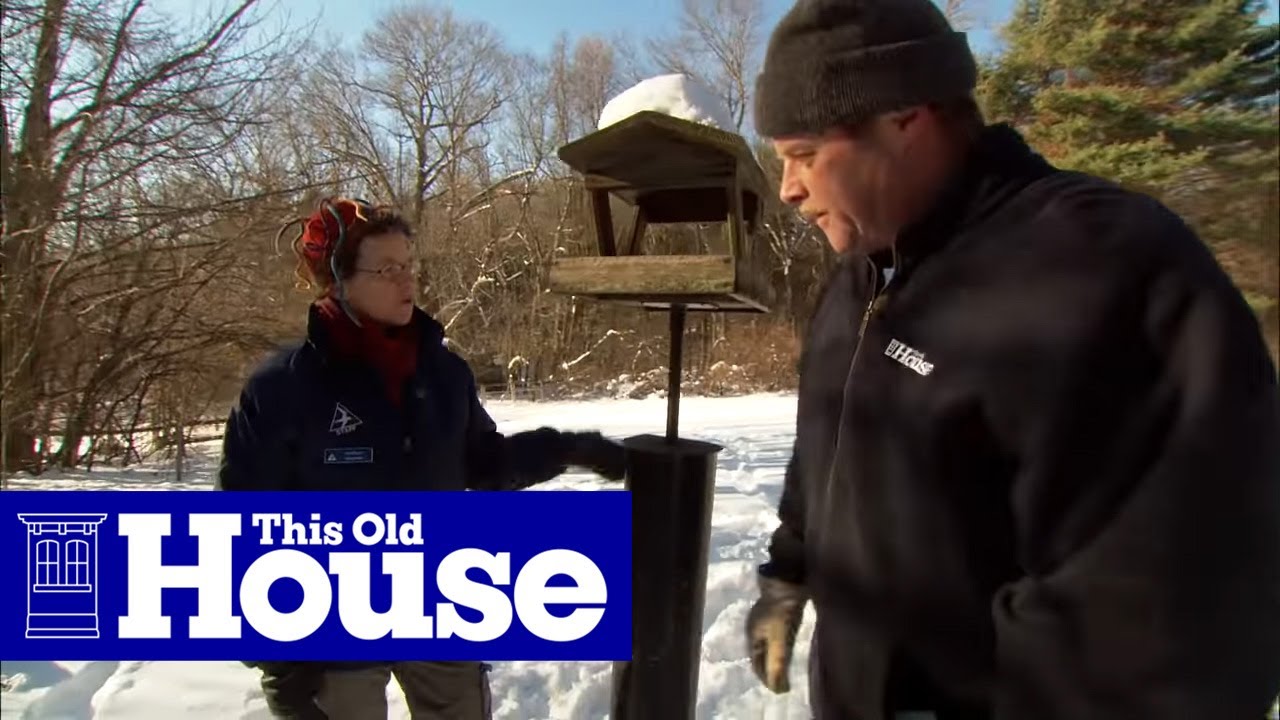 ask this old house videos How to Choose and Use Birdfeeders | This Old House