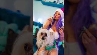 Merry Christmas Happy Holidays from the Babes and I! #christmas #christmaspets #happyholidays