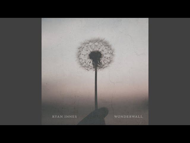 WONDERWALL - RYAN INNES