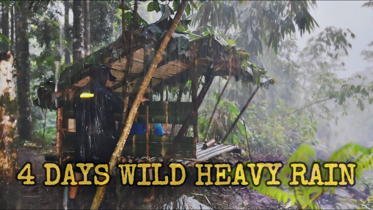 Wild HEAVY RAIN Camping in 4 Days‼️Wild Camping in Heavy Rain with Thunderstorm in 4 Days‼️ ASMR