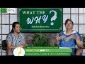 B2B Success with Ray Lyons: Sales, Outsourcing &amp; Consistency- RVN Channel Knetstreams | MyB2BNetwork