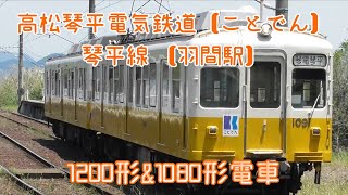 高松琴平電気鉄道　ことでん　琴平線　羽間駅　1200形電車　1080形電車