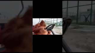 Günlük Yaşam Mizahı Resimi