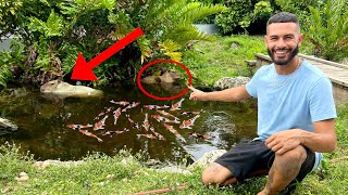 REMOVING ALL THE FISH IN CAPYBARA POND! NASTY!