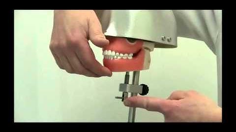 Set Up and Use of Pedo Radiography Mannequin