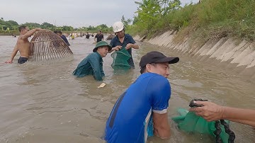 Úp nơm cá trôi hưng hugo