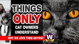 11 Things Only Cat Owners Understand And Why We Love Them Anyway. by Wezoo Family 949 views 1 year ago 5 minutes, 43 seconds