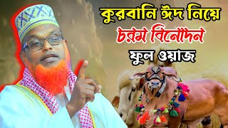 কুরবানি ঈদ নিয়ে চরম হাসির ওয়াজ । New Full Waz 2024 । মাওলানা রুহুল আমিন যুক্তিবাদী