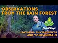 Natural environments, observations from the temperate rain forest.