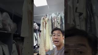 Cùng Pewpew Ghé Thăm Giặt Là Pewpew Nhân Ngày Đẹp Trời.