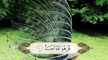 Quran: 112. Surah Al-lkhlas (The Sincerity): Arabic and English translation HD - سورة الاخلاص