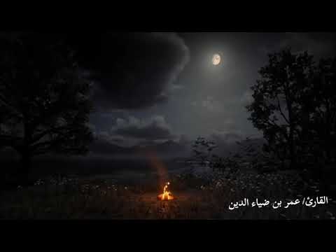 سورة محمد 36 38 القارئ عمر بن ضياء الدين
