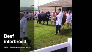 Royal Cornwall Show Highlights