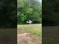 Day 7 of trying to hit a hole in one