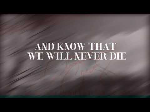 Amon Amarth - Raven's Flight [Lyric Video]