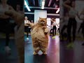 قطه مقطقطه