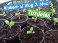 Kiskert-M Vlog 2. rész - Tűzdelés/pikírozás