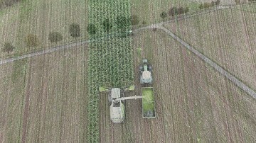 Agriculture Obertshausen Fall 2025