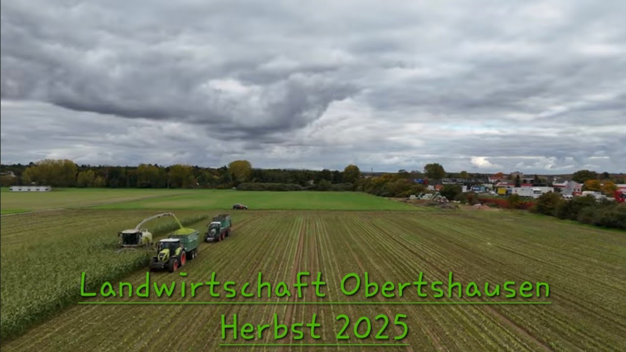 Agriculture in Fall Obertshausen Hessen Deutschland 🇩🇪 2025