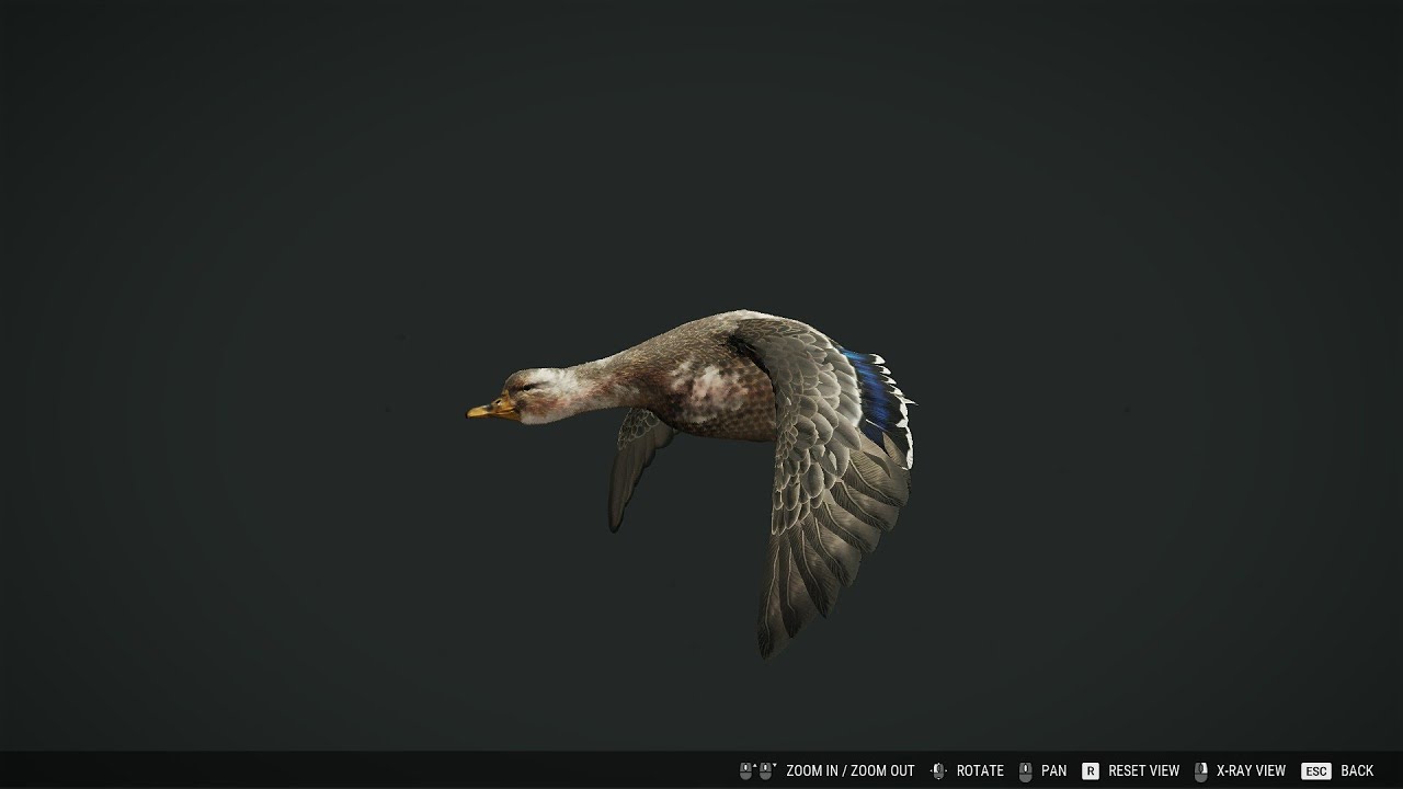TheHunterCall Of The Wild Hunting Ducks On Revontuli coast Including a