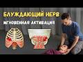 БЛУЖДАЮЩИЙ НЕРВ - ПРИЧИНА ВАШИХ ПРОБЛЕМ! ✅ Простые ТЕХНИКИ ВОССТАНОВЛЕНИЯ