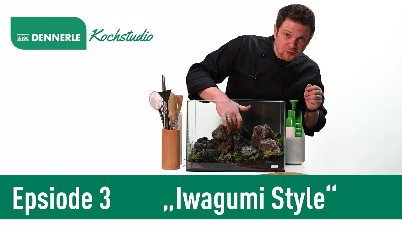 Iwagumi Style im 35L Scaper's Tank | Aquarium nach Rezept Folge 3 | DENNERLE