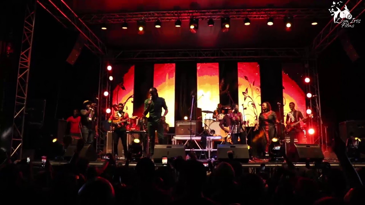 Jah Payzah & the black Spirits Live Jacaranda Music Festival 2019