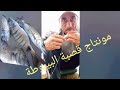اخطر واسهل مونتاج قصبة البيلوطة لصيد سمك الشرغو بوفرة Fishing Maroc Travel 