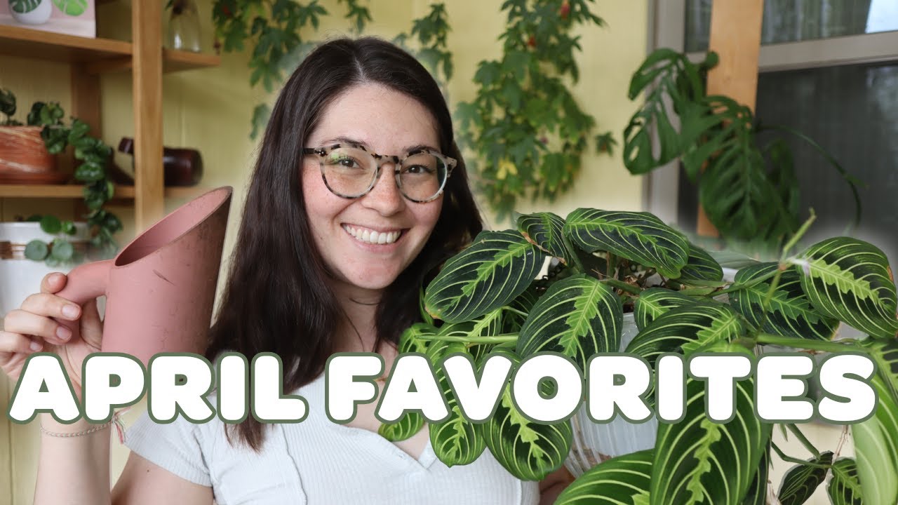 APRIL HOUSEPLANT FAVORITES! | happy fussy plants, self-watering pots, and repotting essentials! 💦🪴