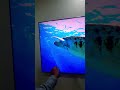 75"QLED#samsungledtv #4ktv #shortvideo #smarttv
