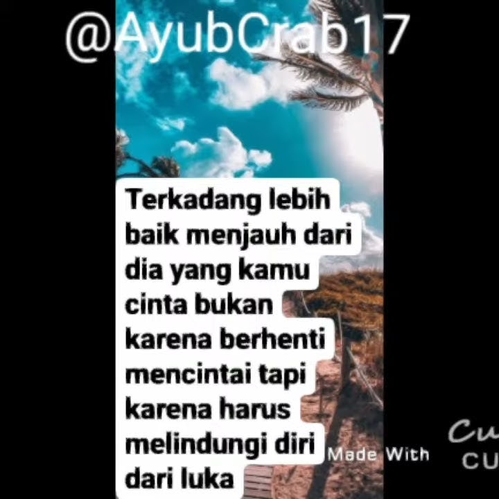 Story' wa_hijau daun