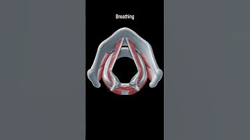 Vocal Cord Muscles (Adduction and Abduction) #shorts  @fauquierent ​