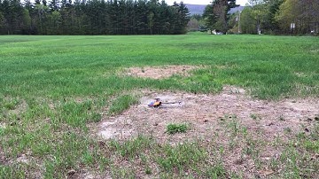 T-Rex 470LP 10th Flight