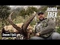 Hunting Ronda Ibex in Spain!