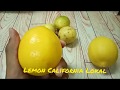 Lemon lokal vs lemon import
