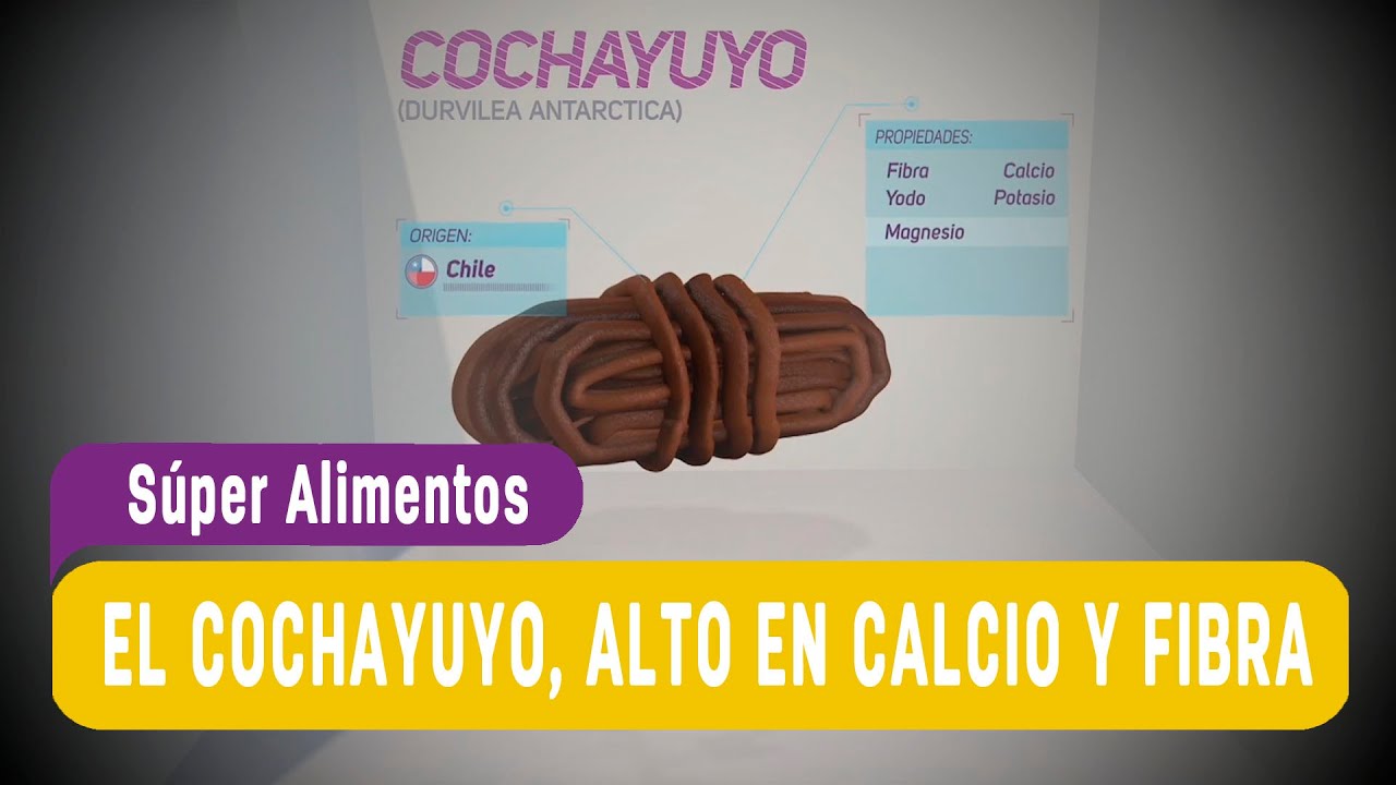 propiedades+del+cochayuyo+para+bajar+de+peso