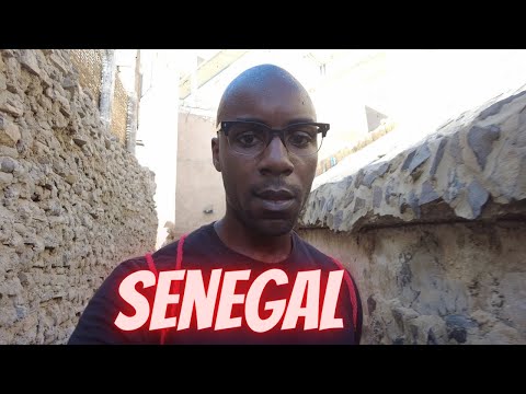 No One Told Me Dakar Senegal Would Be Like This