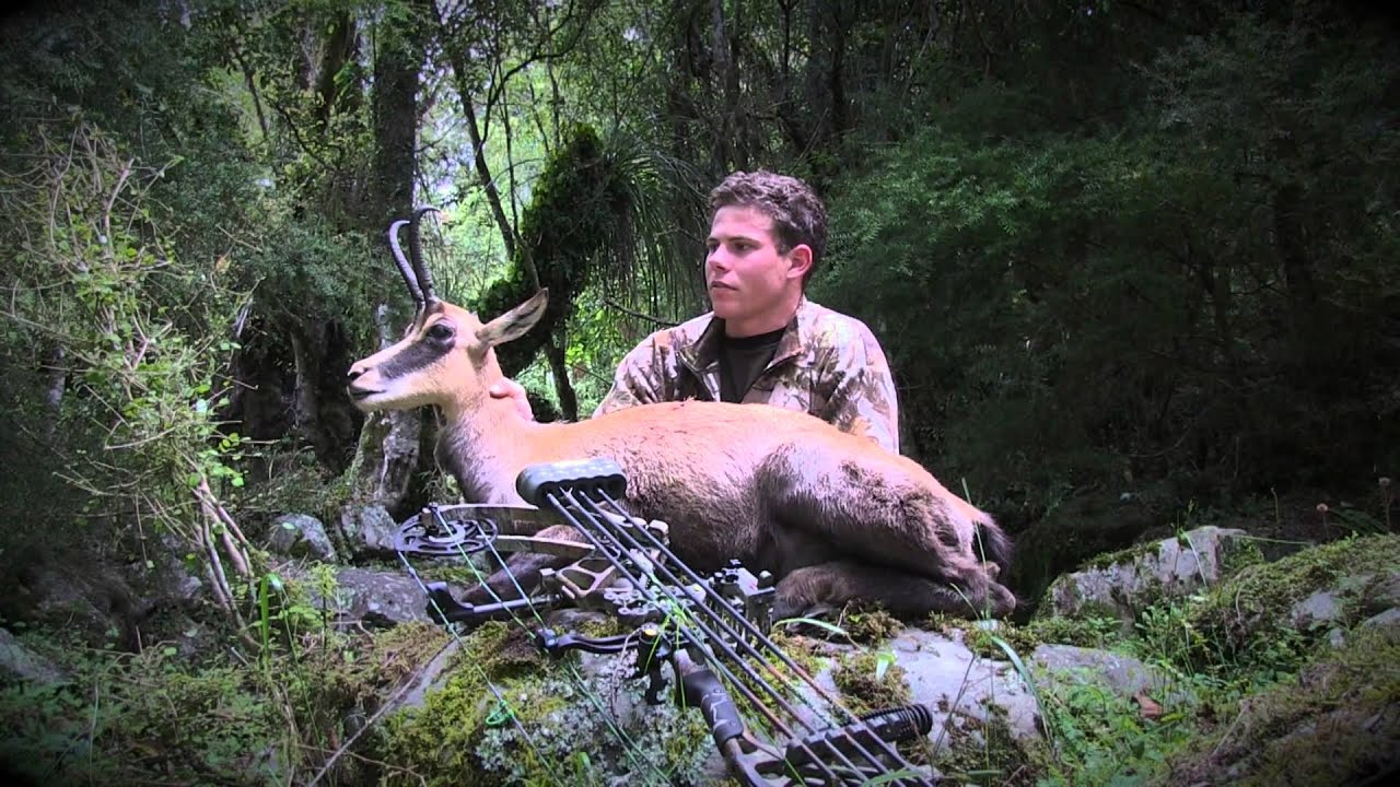Bowhunting, pighunting, bowfishing New Zealand YouTube