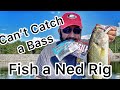 The 3 Best Ways to Fish a Ned Rig - Bass Fishing