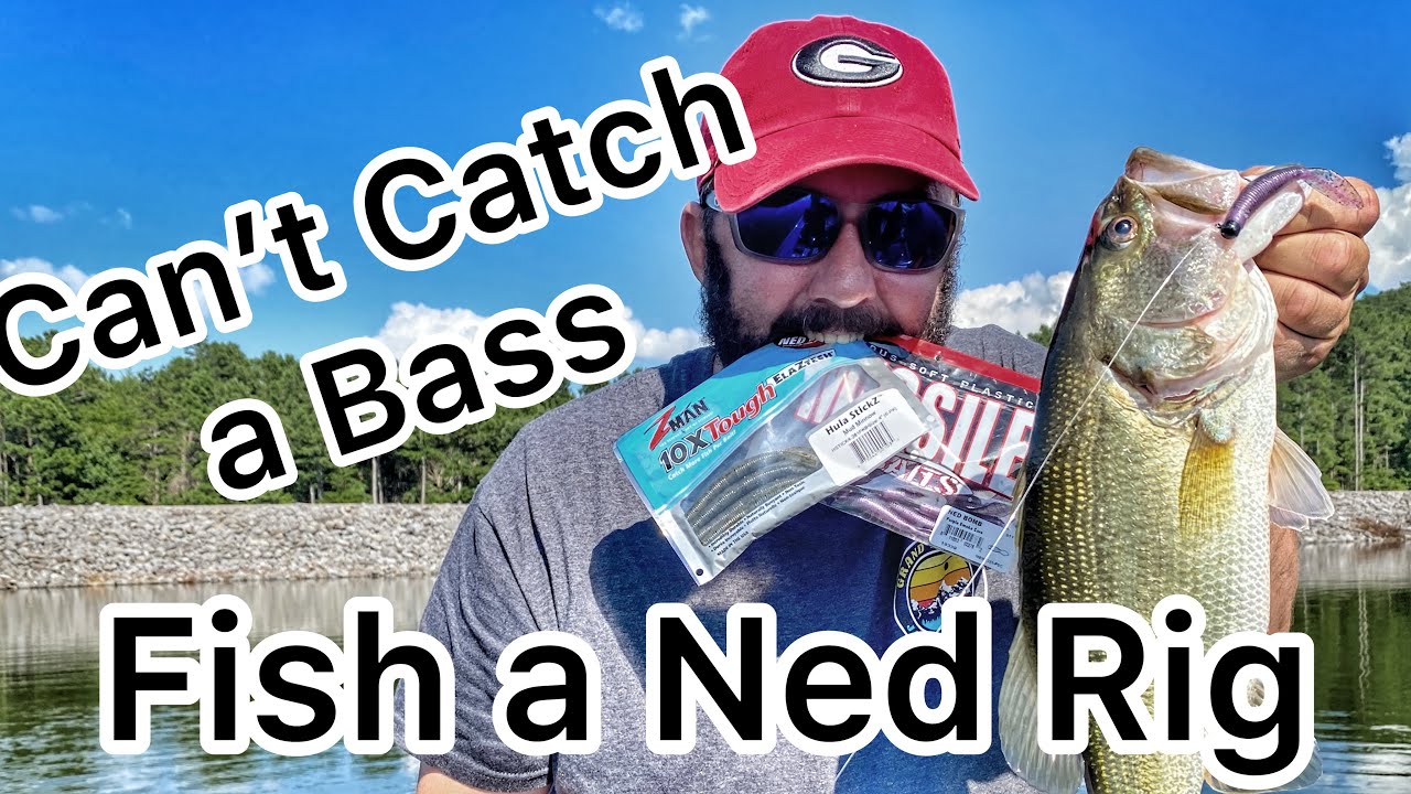 The 3 Best Ways to Fish a Ned Rig - Bass Fishing 