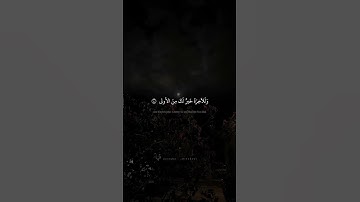 #القرآن_الكريم 🌸💗 من #سورة_الضحى || للقارئ الشَّيْخ : #محمد_صديق_المنشاوي رحمه الله تعالى _.